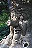 Efteling. Eventyrstr�et (Sprookjesboom) i Eventyrskoven (Sprookjesbos) i Efteling forlystelsesparken i Holland  Efteling / Kaatsheuvel Holland   The Netherlands, forlystelsesparker