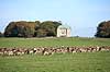 D�dyr. D�dyr foran Erimitageslottet i Dyrehaven Dama dama J�gersborg Dyrehave / Sj�lland   pattedyr Hjorte, Cervidae, Parrett�ede hovdyr, Artiodactyla, hjort, d�vildt, gevir, fuldskuffel, dr�vtygger, brunst, fallow deer, d�hjort, dovhjort
