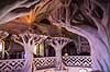 Disneyworld. Torneroses slot i Fantasyland i Disneyworld i Paris  Paris Frankrig   Princesseslottet, Eurodisney, Disneyland Park, Sleeping Beauty Castle, Forlystelsespark, forlystelsesparker