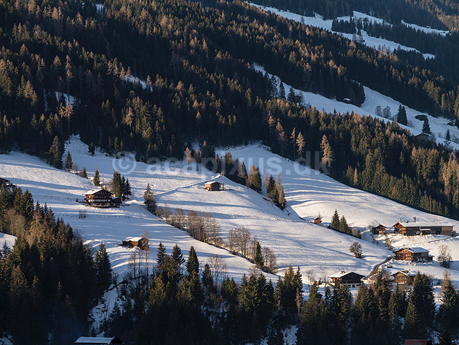 Alpbach. Bjergside med sne, bondehuse og spor efter off-piste slalom i de �striske Alper; ; Alpbach; �strig; ; ; Slalom, sne, skil�b, ski, vinter, vintersport, sport, fritid, Alperne, �sterreich, skiferie