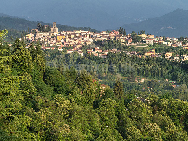 Barga. Bjerglandsby i Toscana nord for Lucca. Duomo di Barga p� toppen af landsbyen; ; Barga; Italien; ; ; Landskab, Toscany