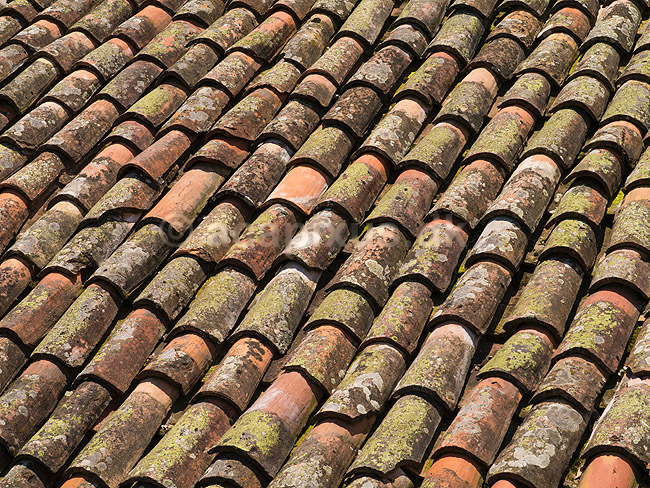 Teglstenstag. Hustag med gamle teglsten i bjerglandsbyen Barga i Toscana nord for Lucca.; ; Barga; Italien; ; ; Toscany, tegl, hustage