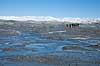Indlandsisen. Turister p� vej ind p� indlandsisen. En smeltevandsflod snor sig hen over indlandsisen. N�r Russel gletscheren p� Gr�nland.  Kangerlussuaq Gr�nland   S�ndre Str�mfjord, landskaber, indlandsis, smeltevand, afsmeltning, global opvarmning, gletcher, gletsjer, gletscher, br�, is-br�, skri�j�kull, j�kel, glacier