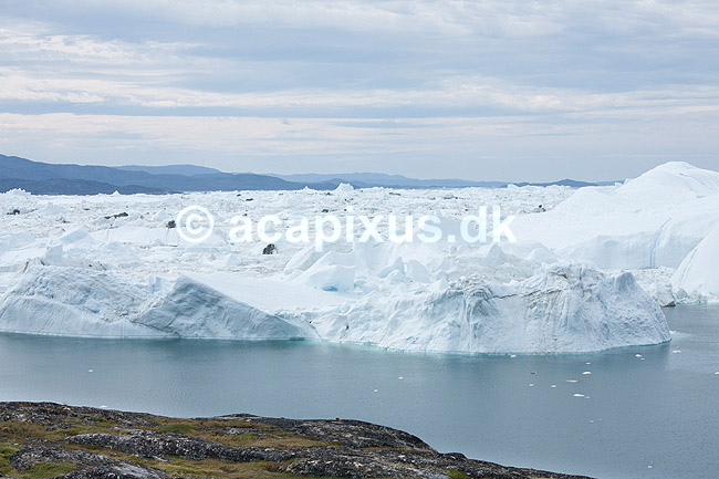 Ilulissat Isfjord. Isbjerge i Isfjorden ved Ilulissat.; ; Ilulissat; Gr�nland; ; ; Jakobshavn, isbjerg, Ilulissat Isfjord, isbjerg