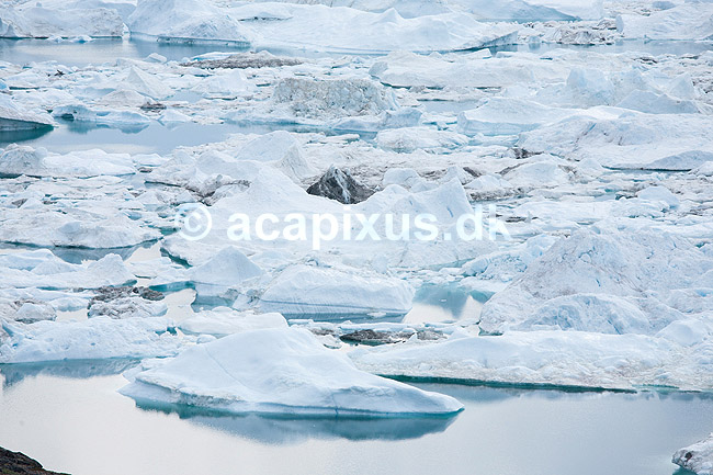 Ilulissat Isfjord. Isbjerge i Isfjorden ved Ilulissat.; ; Ilulissat; Gr�nland; ; ; Jakobshavn, isbjerg, Ilulissat Isfjord, isbjerg