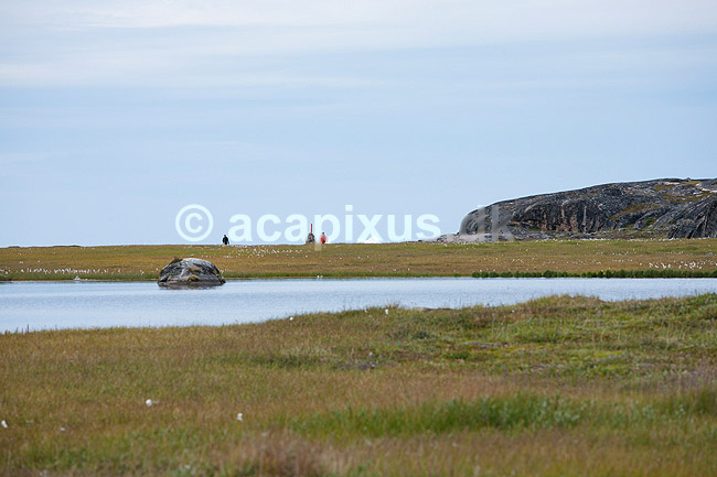 Fjeldvandring. Vandrere i fjeldet n�r Ilulissat. Isbjerge i Ilulissat Isfjord skimtes i baggrunden; ; Ilulissat; Gr�nland; ; ; Jakobshavn, fjeldlandskab