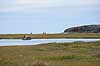 Fjeldvandring. Vandrere i fjeldet n�r Ilulissat. Isbjerge i Ilulissat Isfjord skimtes i baggrunden  Ilulissat Gr�nland   Jakobshavn, fjeldlandskab