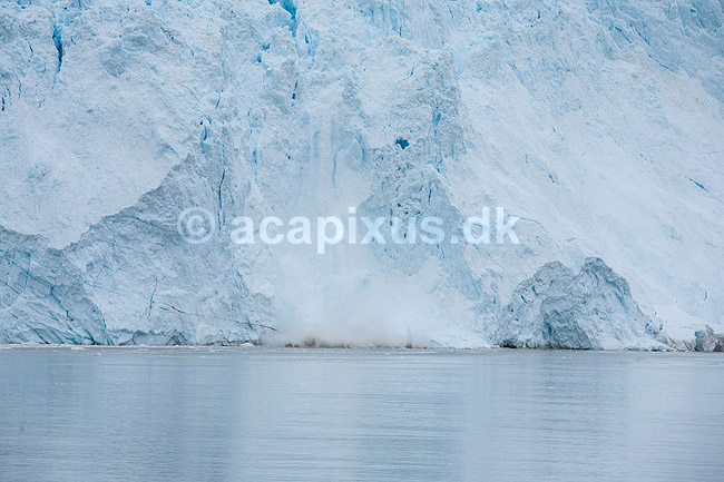 Eqi gletsjeren. Eqi gletcheren k�lver et par isbjerge; ; Ilulissat; Gr�nland; ; ; Jakobshavn, landskaber, gletcher, gletsjer, gletscher, br�, is-br�, skri�j�kull, j�kel, glacier
