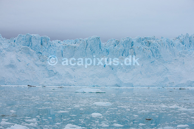 Eqi gletsjeren. Eqi gletcheren glider ud i havet; ; Ilulissat; Gr�nland; ; ; Jakobshavn, landskaber, gletcher, gletsjer, gletscher, br�, is-br�, skri�j�kull, j�kel, glacier