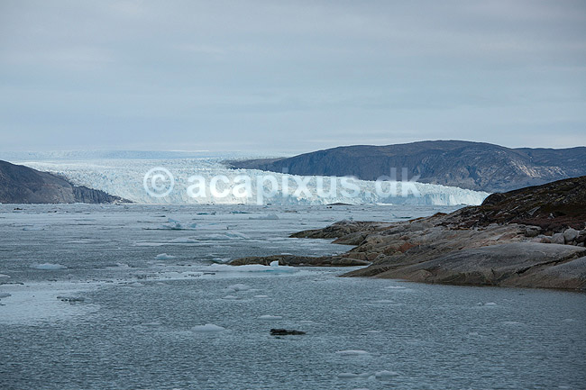 Eqi gletsjeren. Indlandsisen flyder ud over fjeldet og danner Eqi gletcheren, som glider ud i havet og danner isbjerge; ; Ilulissat; Gr�nland; ; ; Jakobshavn, landskaber, gletcher, gletsjer, gletscher, br�, is-br�, skri�j�kull, j�kel, glacier