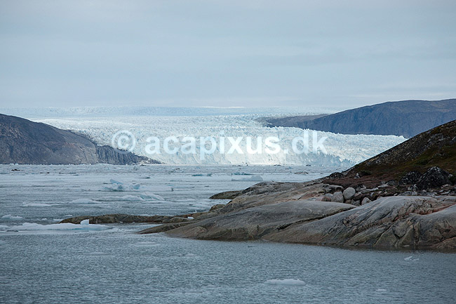 Eqi gletsjeren. Indlandsisen flyder ud over fjeldet og danner Eqi gletcheren, som glider ud i havet og danner isbjerge; ; Ilulissat; Gr�nland; ; ; Jakobshavn, landskaber, gletcher, gletsjer, gletscher, br�, is-br�, skri�j�kull, j�kel, glacier