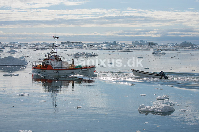 Fiskerb�d. En fiskerb�d sejler gennem isbjerge p� vej til  Ilulissat; ; Ilulissat; Gr�nland; ; ; Jakobshavn, isbjerge, iceberg, icebergs, b�d, b�de