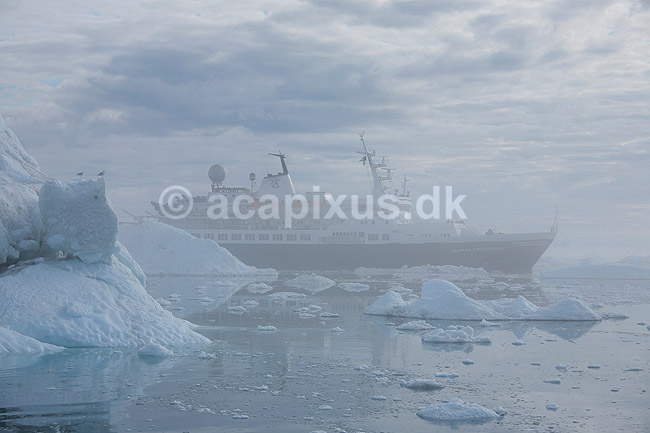 Krydstogtskib. Krydstogtskibet Clipper Adventurer sejler gennem i t�ge mellem isbjerge p� vej ud fra Ilulissat; ; Ilulissat; Gr�nland; ; ; Jakobshavn, isbjerge, iceberg, icebergs