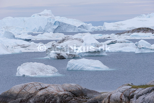 Ilulissat Isfjord. Isbjerge i Isfjorden ved Ilulissat; ; Ilulissat; Gr�nland; ; ; Jakobshavn, isbjerg, Ilulissat Isfjord, isbjerg