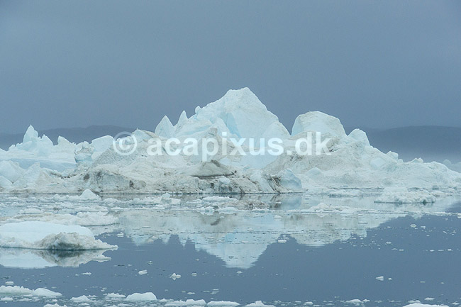 Isbjerge. Isbjerge i Ilulissat Isfjord; ; Ilulissat; Gr�nland; ; ; Jakobshavn, isbjerge, iceberg, icebergs