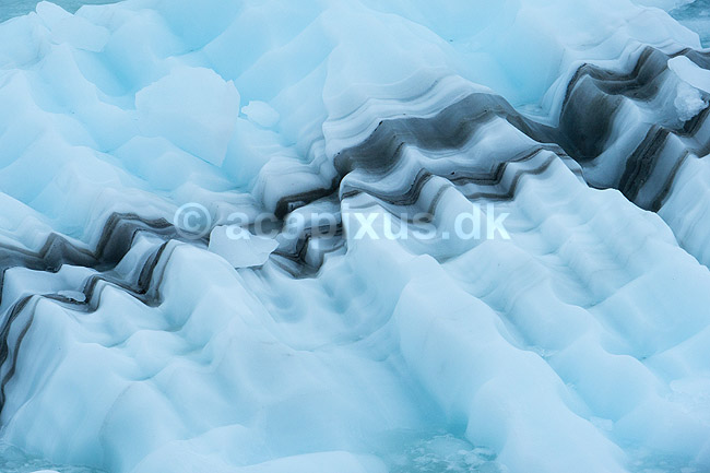 Isbjerge. Isflage med striber af st�v ud for Eqi gletsjeren; ; Ilulissat; Gr�nland; ; ; Jakobshavn, isbjerge, iceberg, icebergs