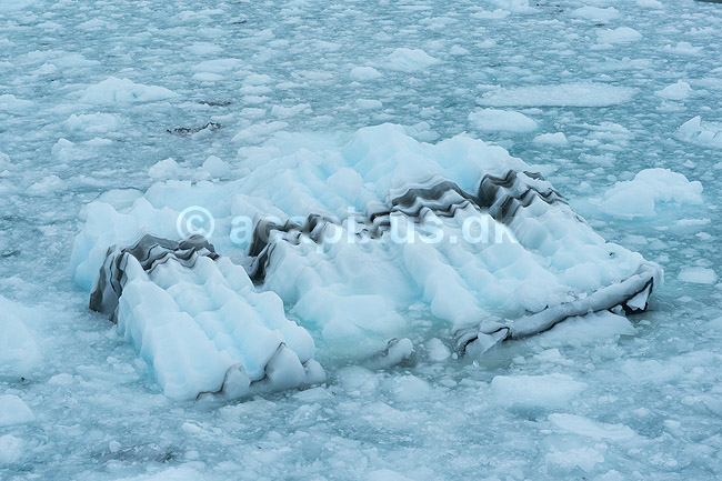 Isbjerge. Isflage med striber af st�v ud for Eqi gletsjeren; ; Ilulissat; Gr�nland; ; ; Jakobshavn, isbjerge, iceberg, icebergs