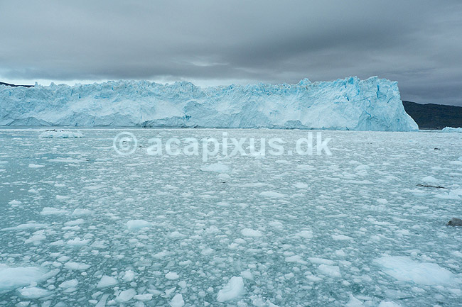 Eqi gletsjeren. Eqi gletcheren glider ud i havet; ; Ilulissat; Gr�nland; ; ; Jakobshavn, landskaber, gletcher, gletsjer, gletscher, br�, is-br�, skri�j�kull, j�kel, glacier