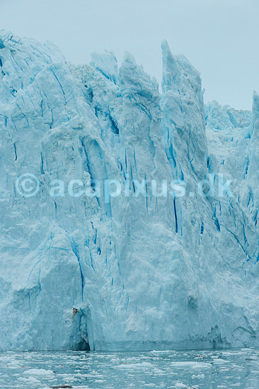 Eqi gletsjeren. Eqi gletcheren glider ud i havet; ; Ilulissat; Gr�nland; ; ; Jakobshavn, landskaber, gletcher, gletsjer, gletscher, br�, is-br�, skri�j�kull, j�kel, glacier