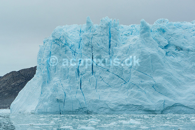 Eqi gletsjeren. Eqi gletcheren glider ud i havet; ; Ilulissat; Gr�nland; ; ; Jakobshavn, landskaber, gletcher, gletsjer, gletscher, br�, is-br�, skri�j�kull, j�kel, glacier