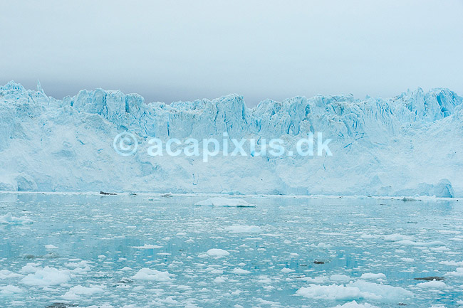 Eqi gletsjeren. Eqi gletcheren glider ud i havet; ; Ilulissat; Gr�nland; ; ; Jakobshavn, landskaber, gletcher, gletsjer, gletscher, br�, is-br�, skri�j�kull, j�kel, glacier