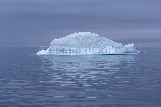 Isbjerg. Isbjerge i havet ud for Ilulissat; ; Ilulissat; Gr�nland; ; ; Jakobshavn, isbjerge, iceberg, icebergs