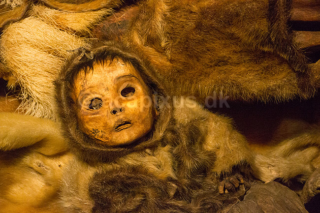 Mumier. Barnemumie af inuitbarn fra omkring �r 1475 af Qilakitsoqfolket fra Qilakitsoq n�r Uummannaq. Udstillet p� Nationalmuseet i Nuuk; ; Nuuk; Gr�nland; ; ; Godth�b, hovedstad p� Gr�nland, Inuit