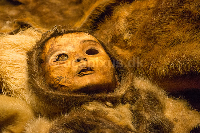 Mumier. Barnemumie af inuitbarn fra omkring �r 1475 af Qilakitsoqfolket fra Qilakitsoq n�r Uummannaq. Udstillet p� Nationalmuseet i Nuuk; ; Nuuk; Gr�nland; ; ; Godth�b, hovedstad p� Gr�nland, Inuit