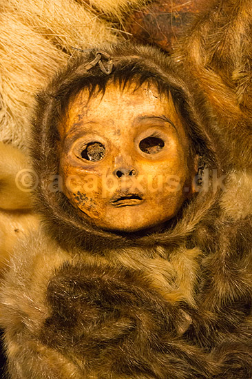 Mumier. Barnemumie af inuitbarn fra omkring �r 1475 af Qilakitsoqfolket fra Qilakitsoq n�r Uummannaq. Udstillet p� Nationalmuseet i Nuuk; ; Nuuk; Gr�nland; ; ; Godth�b, hovedstad p� Gr�nland, Inuit