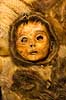 Mumier. Barnemumie af inuitbarn fra omkring �r 1475 af Qilakitsoqfolket fra Qilakitsoq n�r Uummannaq. Udstillet p� Nationalmuseet i Nuuk  Nuuk Gr�nland   Godth�b, hovedstad p� Gr�nland, Inuit