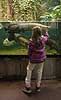 Danmarks Akvarium. Pige kigger p� arapaima i regnskovs akvarium i Danmarks Akvarium Arapaima gigas Charlottenlund   fisk Akvarier, akvarie, regnskovsfisk