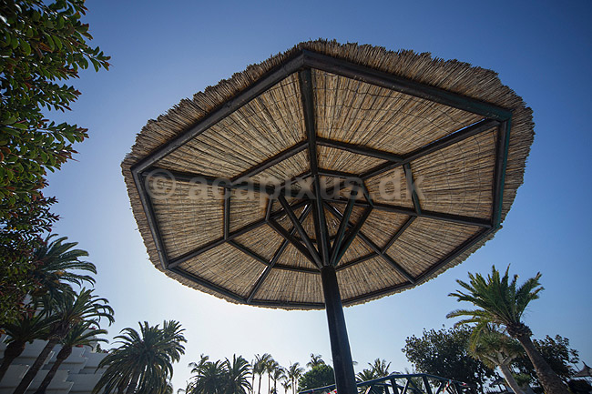 Parasol. Undersiden af sivparasol ved swimmingpool p� Lanzarote i De Kanariske �er; ; Lanzarote / Costa Teguise; Spanien; ; ; Solbeskyttelse, skygge, ferie, rejser