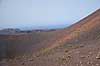 Lanzarote. Pionerplanter vokser i vulkanlandskab i Timanfaya Nationalparken p� Lanzarote i De Kanariske �er  Parque Nacional de Timanfaya / Lanzarote Spanien   Vulkaner, vulkanisme, vulkan, lava