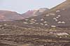 Lanzarote. Vin dyrkes bag l�sk�rme bygget af lavasten ved Bodega La Geria p� Lanzarote i De Kanariske �er  Bodega La Geria / Lanzarote Spanien   Vulkaner, vulkanisme, vulkan, lava, landbrug