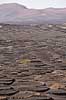 Lanzarote. Vin dyrkes bag l�sk�rme bygget af lavasten ved Bodega La Geria p� Lanzarote i De Kanariske �er  Bodega La Geria / Lanzarote Spanien   Vulkaner, vulkanisme, vulkan, lava, landbrug
