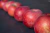 �bler. R�de spise�bler p� �bletr� Malus    planter Frugt, frugter, �ble, spise�ble, frugthave