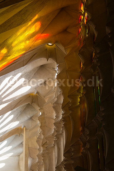 La Sagrada Familia. Interi�r i hovedskibet i Gaudis uf�rdige kirke, Sagrada Familia, i Barcelona; ; Barcelona; Spanien; ; ; Temple Expiatori de la Sagrada Familia, Basilica and Expiatory Church of the Holy Family, Antoni Gaudi, UNESCO world heritage