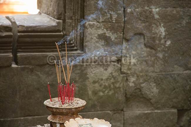R�gelsespinde. R�gelsespinde i tempel i Angkor Archeological Park, World Heritage Site; ; Angkor Archeological Park / Siem Reap; Cambodia; ; ; Angkor Wat, Templer, Khmer riget