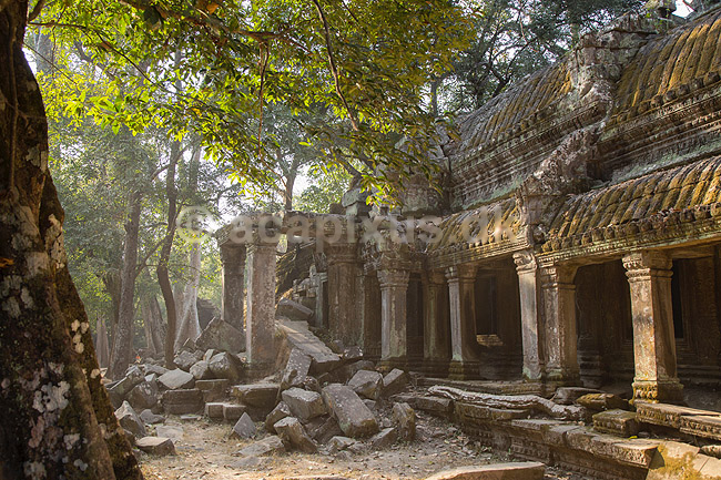 Ta Prohm / Angkor Wat. Ta Prohm templet i Angkor Archeological Park, World Heritage Site, bygget i 12e �rhundrede af Jayavarman VII; ; Angkor Archeological Park / Siem Reap; Cambodia; ; ; Angkor Wat, Templer, Khmer riget