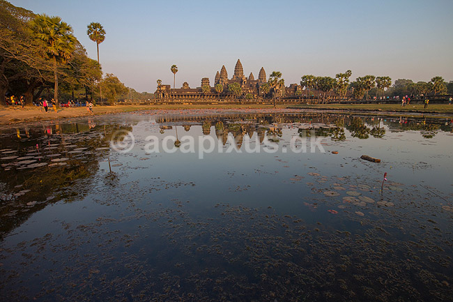 Angkor Wat. Angkor Wat templet ved solnedgang i Angkor Archeological Park, World Heritage Site, bygget i 12e �rhundrede af Suryavarman II; ; Angkor Archeological Park / Siem Reap; Cambodia; ; ; Angkor Wat, Templer, Khmer riget