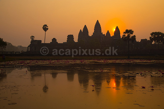 Angkor Wat. Angkor Wat templet ved solopgang i Angkor Archeological Park, World Heritage Site, bygget i 12e �rhundrede af Suryavarman II; ; Angkor Archeological Park / Siem Reap; Cambodia; ; ; Angkor Wat, Templer, Khmer riget