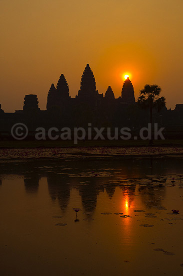Angkor Wat. Angkor Wat templet ved solopgang i Angkor Archeological Park, World Heritage Site, bygget i 12e �rhundrede af Suryavarman II; ; Angkor Archeological Park / Siem Reap; Cambodia; ; ; Angkor Wat, Templer, Khmer riget