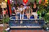 Fodmassage. Turister f�r renset f�dder af fisk i akvarium i Siem Reap i Cambodia - Please feed our hungry fish your dead skin  Siem Reap Cambodia   Turisme, ferie, rejser, hudpleje, akvarier