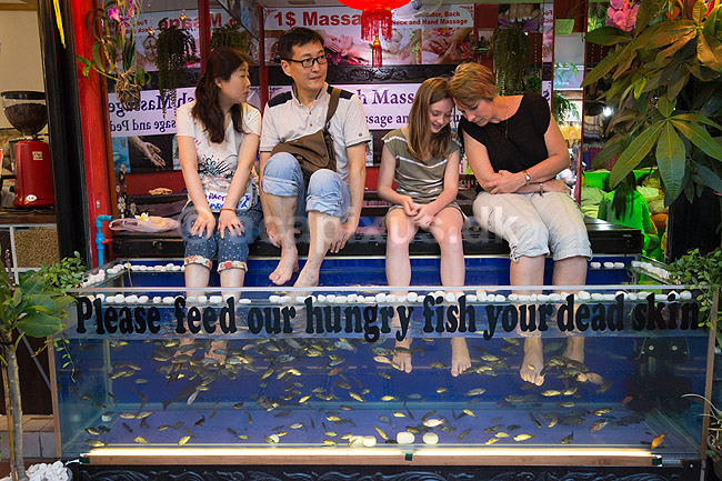 Fodmassage. Turister f�r renset f�dder af fisk i akvarium i Siem Reap i Cambodia - Please feed our hungry fish your dead skin; ; Siem Reap; Cambodia; ; ; Turisme, ferie, rejser, hudpleje, akvarier