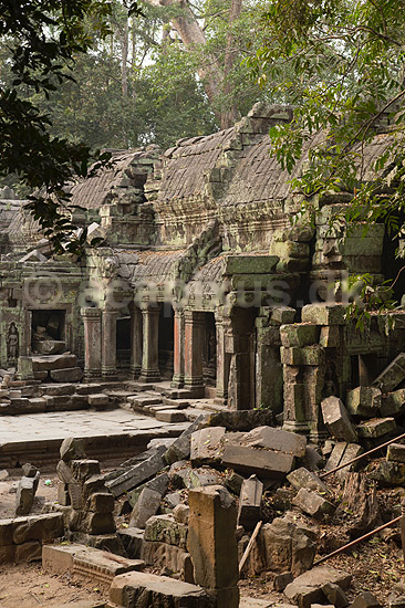 Ta Prohm / Angkor Wat. Ta Prohm templet i Angkor Archeological Park, World Heritage Site, bygget i 12e �rhundrede af Jayavarman VII; ; Angkor Archeological Park / Siem Reap; Cambodia; ; ; Angkor Wat, Templer, Khmer riget