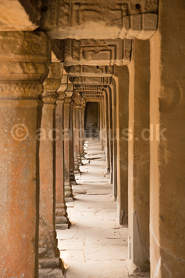 Ta Prohm / Angkor Wat. Ta Prohm templet i Angkor Archeological Park, World Heritage Site, bygget i 12e �rhundrede af Jayavarman VII; ; Angkor Archeological Park / Siem Reap; Cambodia; ; ; Angkor Wat, Templer, Khmer riget