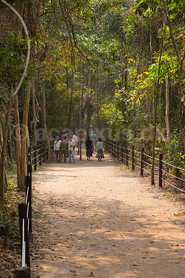Ta Prohm / Angkor Wat. Adgangssti gennem junglen til Ta Prohm templet i Angkor Archeological Park, World Heritage Site, bygget i 12e �rhundrede af Jayavarman VII; ; Angkor Archeological Park / Siem Reap; Cambodia; ; ; Angkor Wat, Templer, Khmer riget