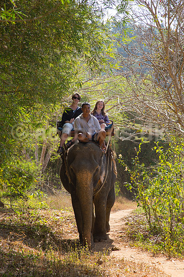 Elefantsafari. Turister p� elefantryg ved Khao Lak i Thailand; ; ; Thailand; ; ; sev�rdigheder, rejser, turisme, elefanter