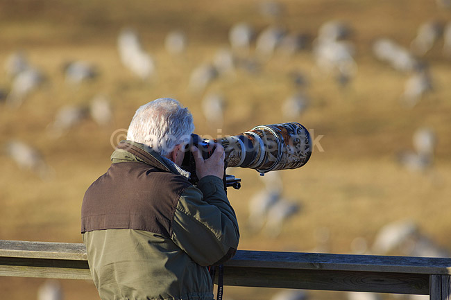 Naturfotograf. Fotograf med teleobjektiv p� monopod med Gimbalhead ved tranedansen ved Hornborga s�en / Hornborgasj�n; ; Hornborga s�en / Hornborgasj�n; Sverige; ; ; naturfotografering, fuglefotografering, fuglefotograf, objektiv, objektiver, Canon