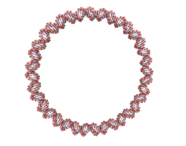 DNA. Cirkul�rt plasmid, Deoxyribo Nucleic Acid, DNA molekyle model; ; ; ; ; ; genetik, gener, arvemateriale, genetisk, GMO, videnskab, gensplejsning